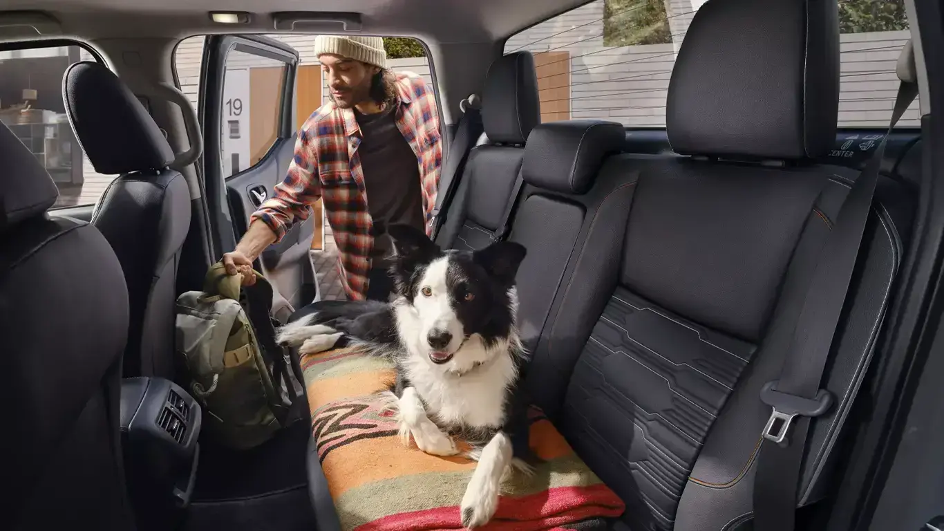 Servicio Pet Friendly y mascotas bienvenidas